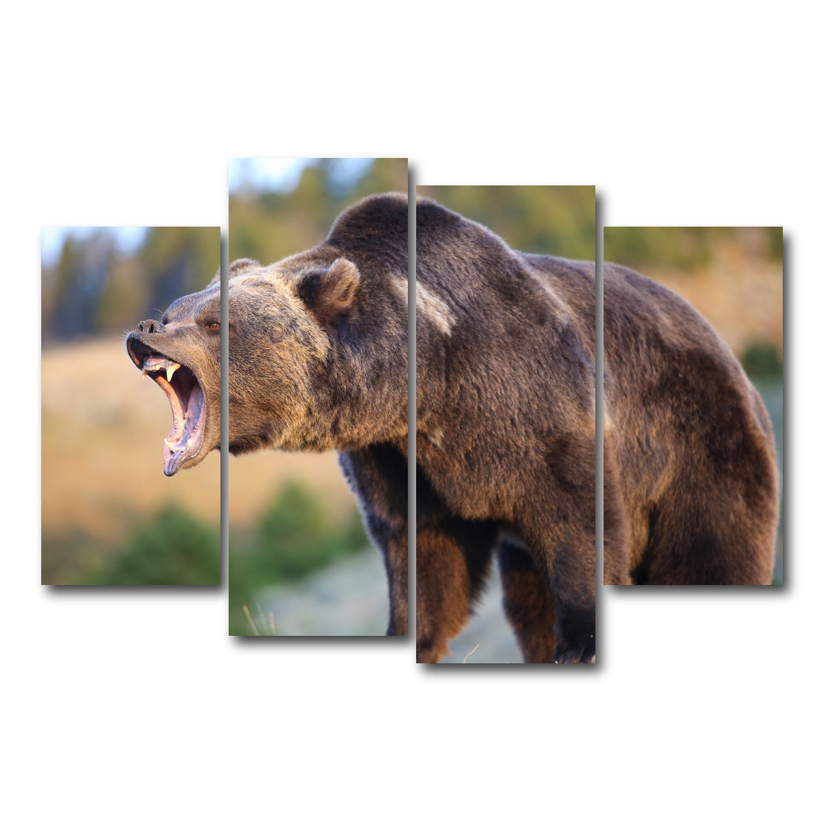 AUTO-MOCKUP WHITE | Grizzly Bear Growling | 4 Piece | Gallery Wrap Canvas | group=4_short