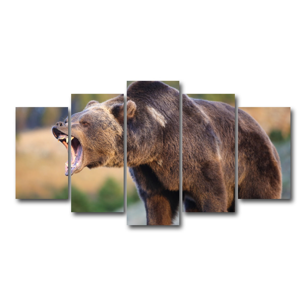 AUTO-MOCKUP WHITE | Grizzly Bear Growling | 5 Piece | Gallery Wrap Canvas | group=5_normal