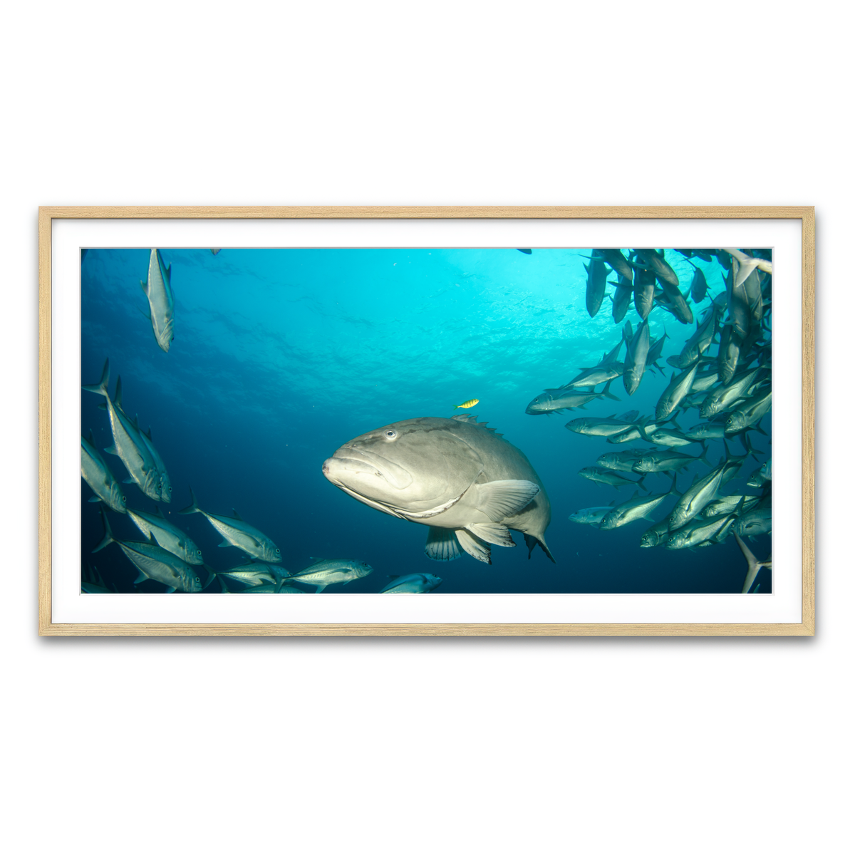 Framed Print 2x1 Natural