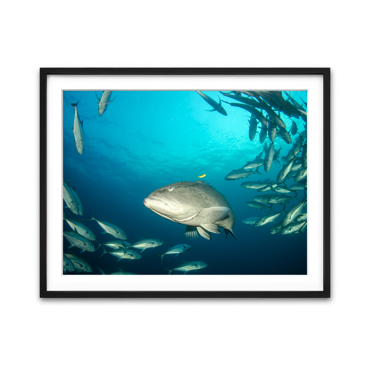 Framed Print 4x3 Black