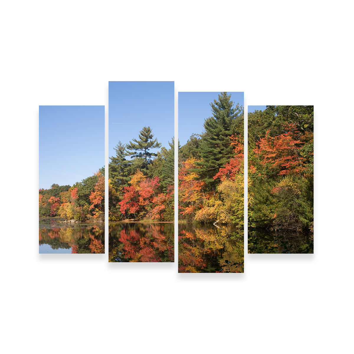 Harold Parker State Park Wall Art