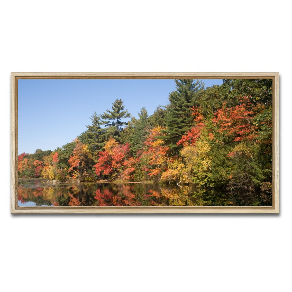 AUTO-MOCKUP WHITE | Harold Parker State Park | 1 Piece | Natural Framed Canvas | group=2x1