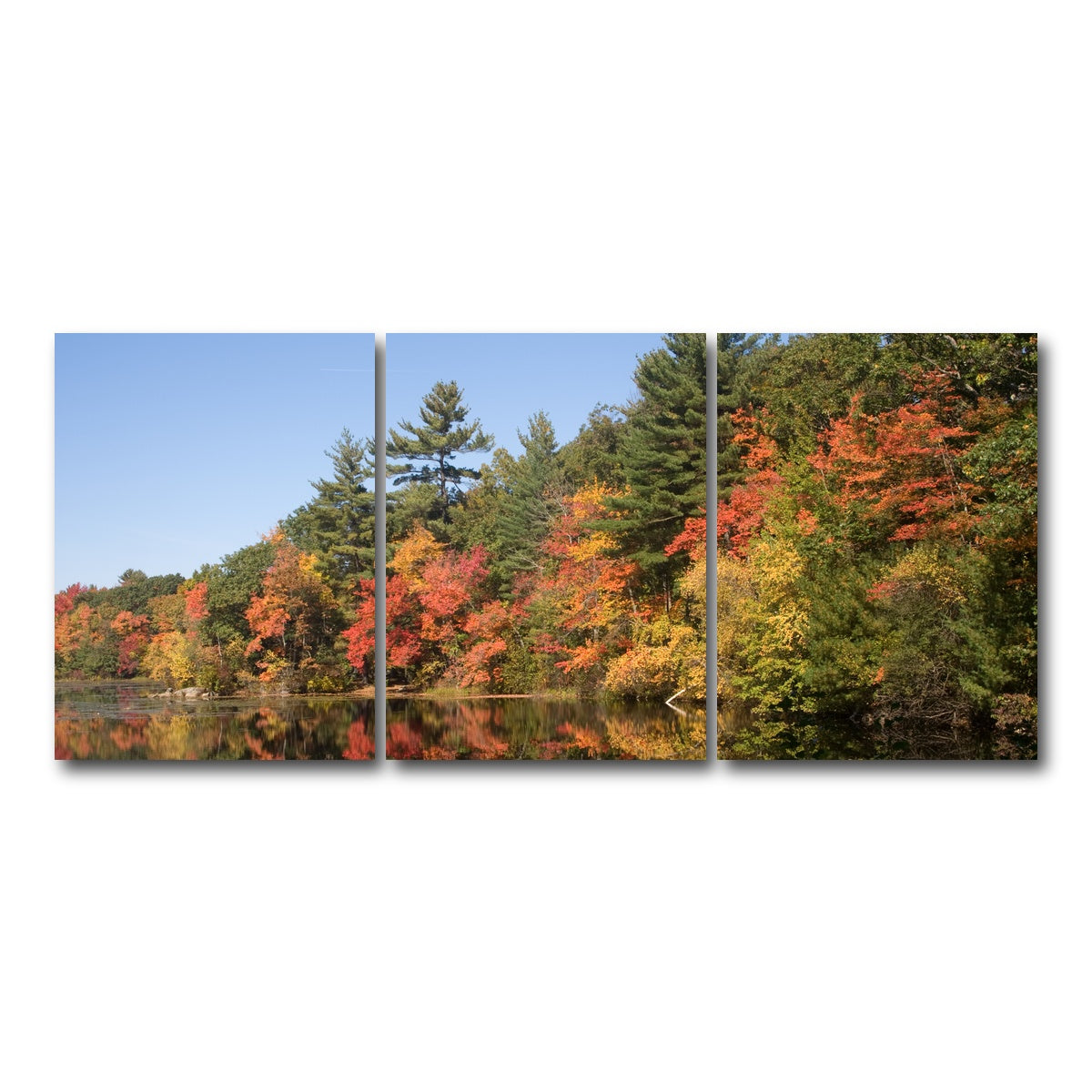 AUTO-MOCKUP WHITE | Harold Parker State Park | 3 Piece | Gallery Wrap Canvas | group=18x24