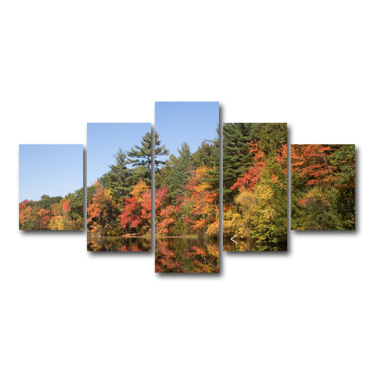 AUTO-MOCKUP WHITE | Harold Parker State Park | 5 Piece | Gallery Wrap Canvas | group=5_short