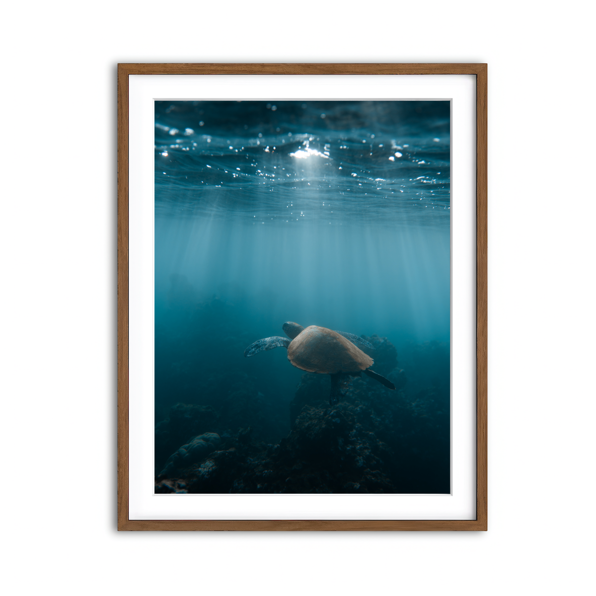 Framed Print 3x4 Walnut