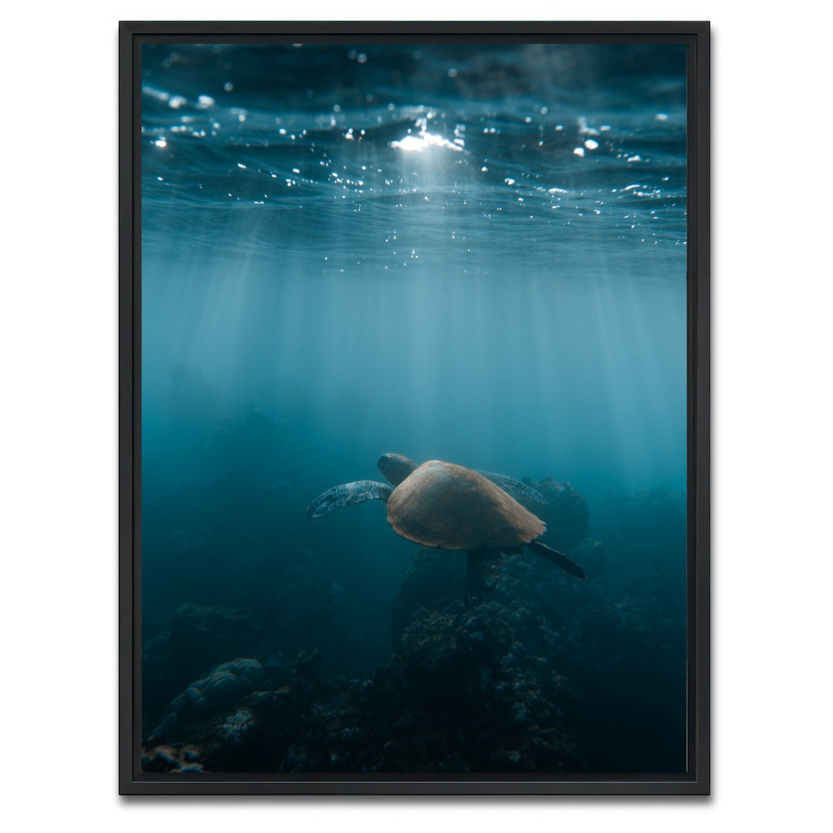 AUTO-MOCKUP WHITE | Hawaii Turtle | 1 Piece | Black Framed Canvas | group=3x4