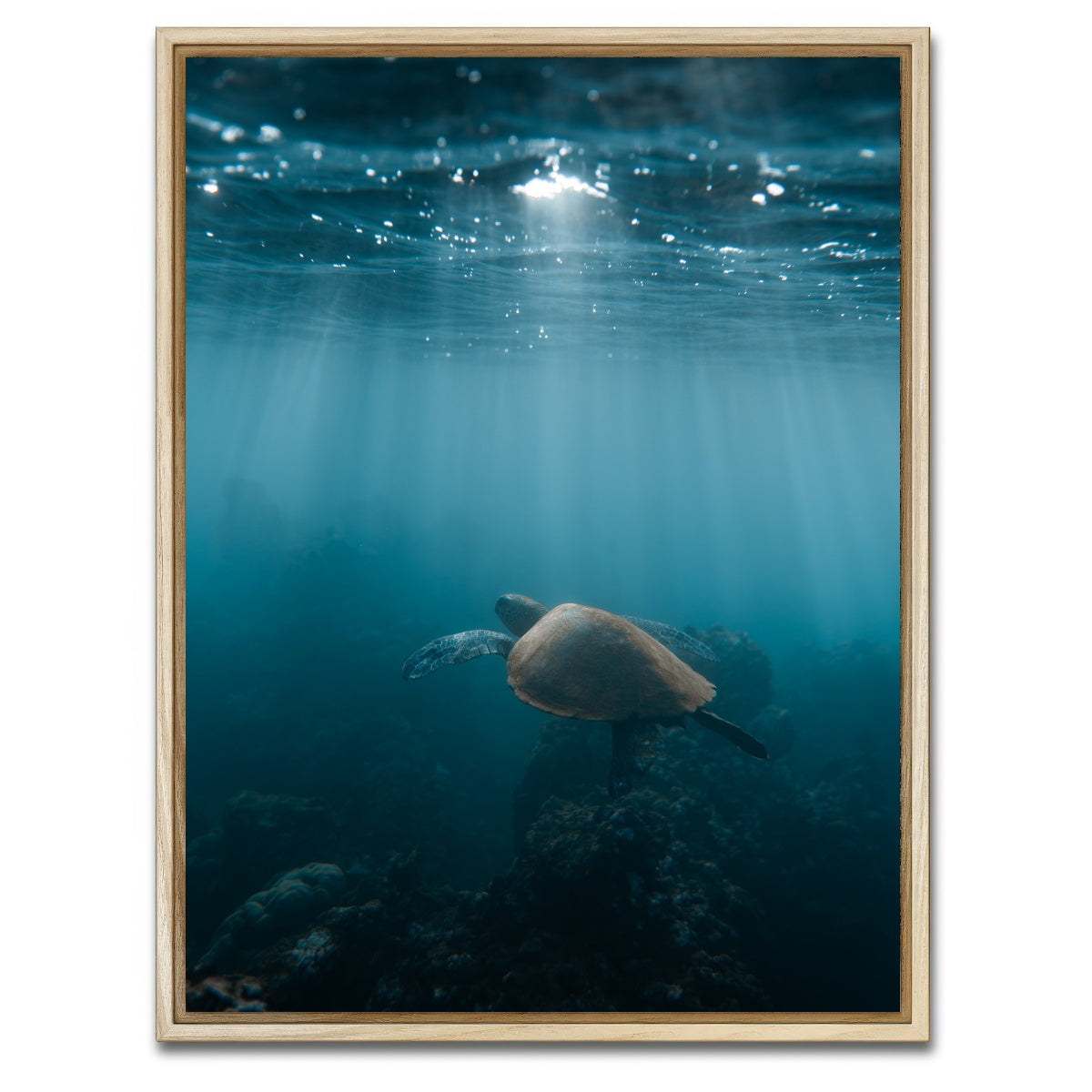AUTO-MOCKUP WHITE | Hawaii Turtle | 1 Piece | Natural Framed Canvas | group=3x4