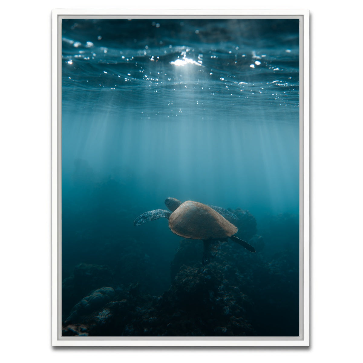 AUTO-MOCKUP WHITE | Hawaii Turtle | 1 Piece | White Framed Canvas | group=3x4