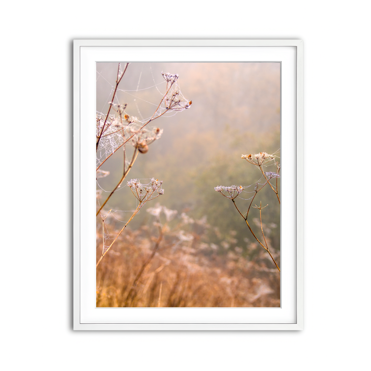 Framed Print 3x4 White