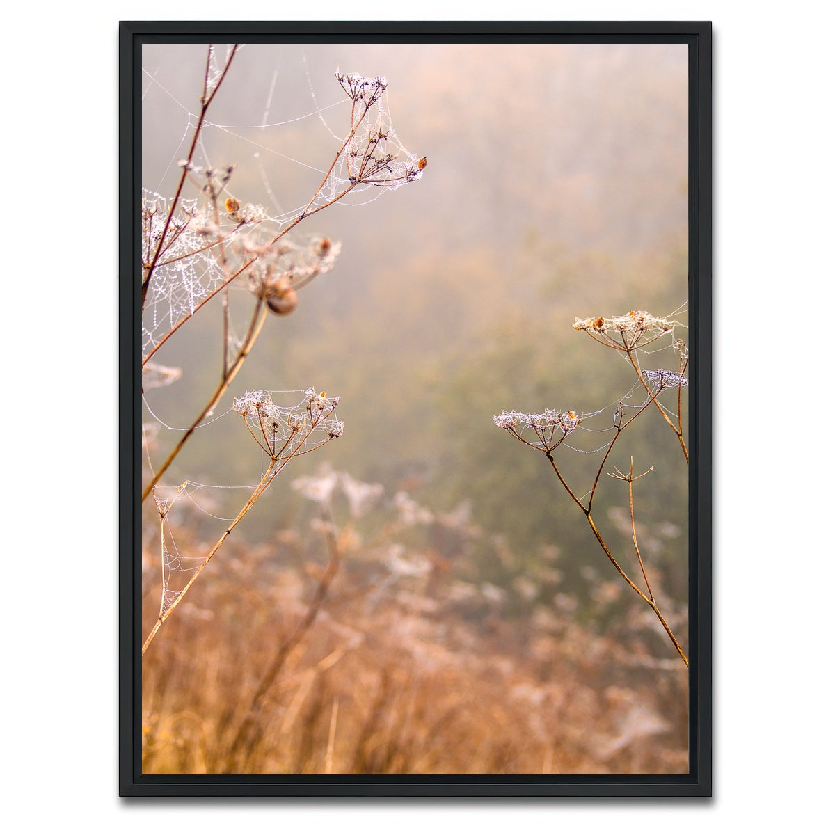 AUTO-MOCKUP WHITE | Headley Heath Dew | 1 Piece | Black Framed Canvas | group=3x4