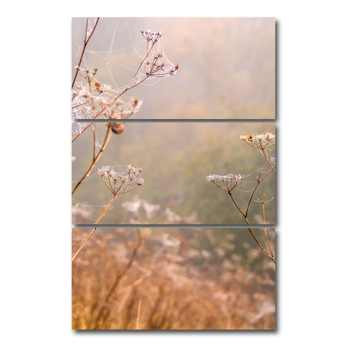 AUTO-MOCKUP WHITE | Headley Heath Dew | 3 Piece | Gallery Wrap Canvas | group=12x24_stacked