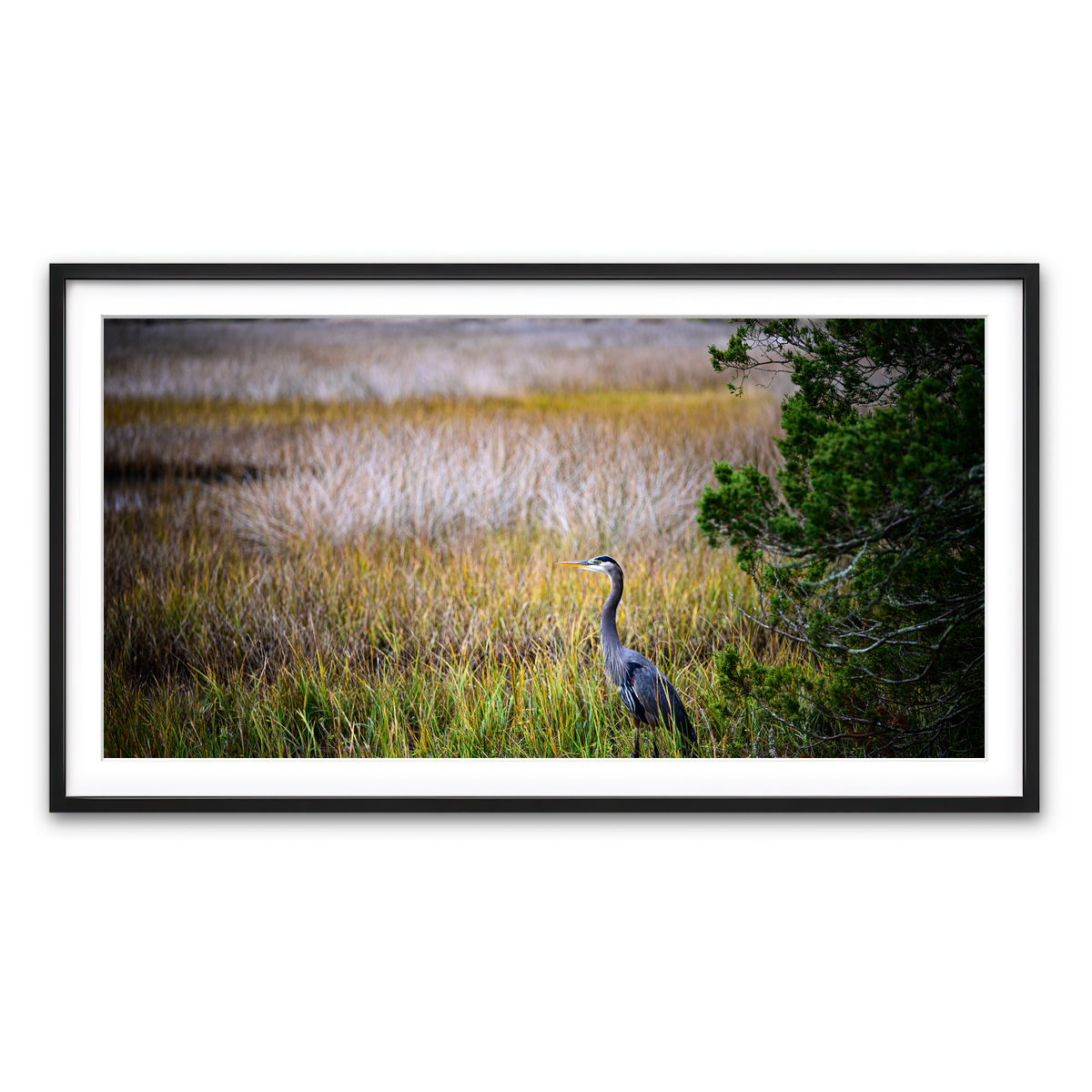 Framed Print 2x1 Black