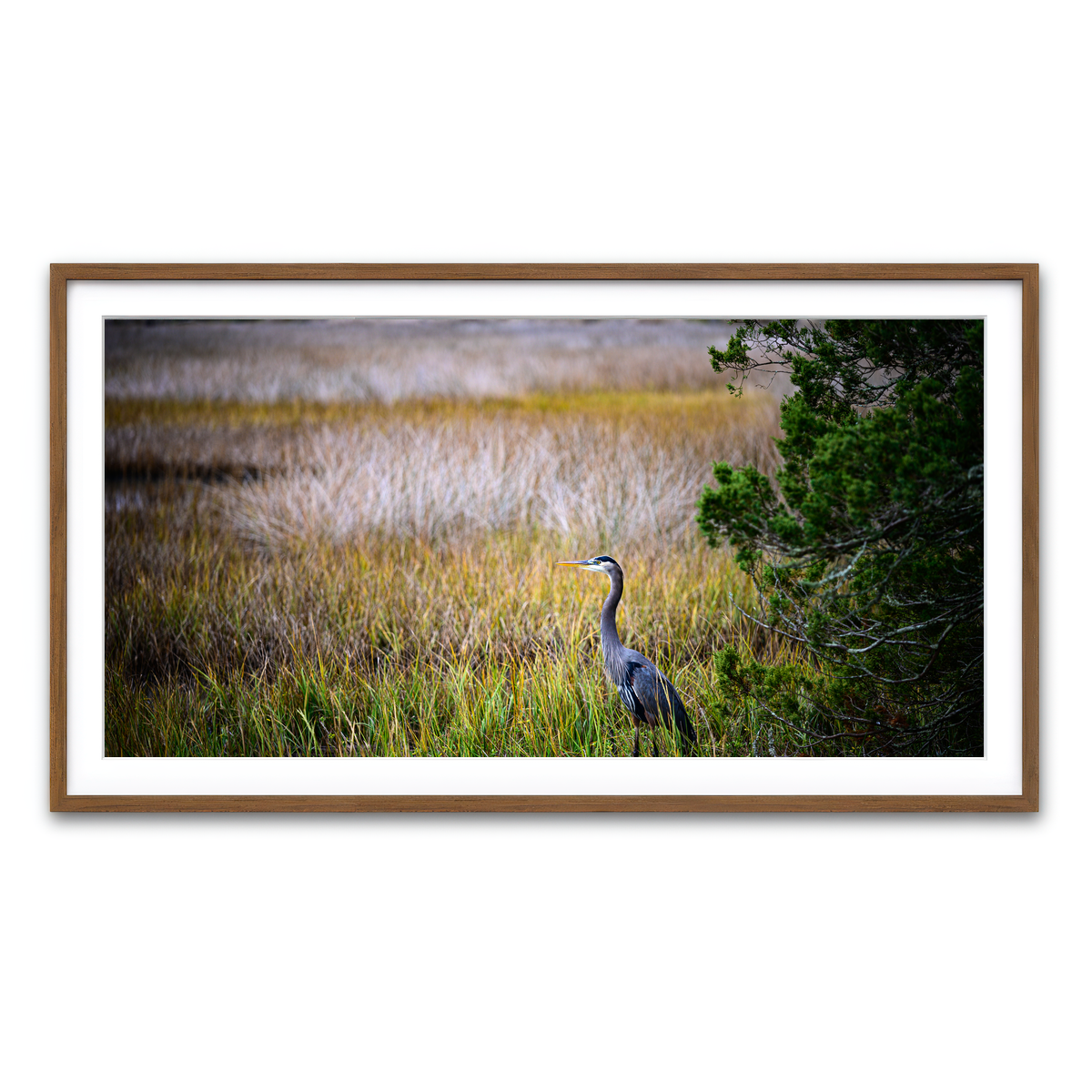 Framed Print 2x1 Walnut