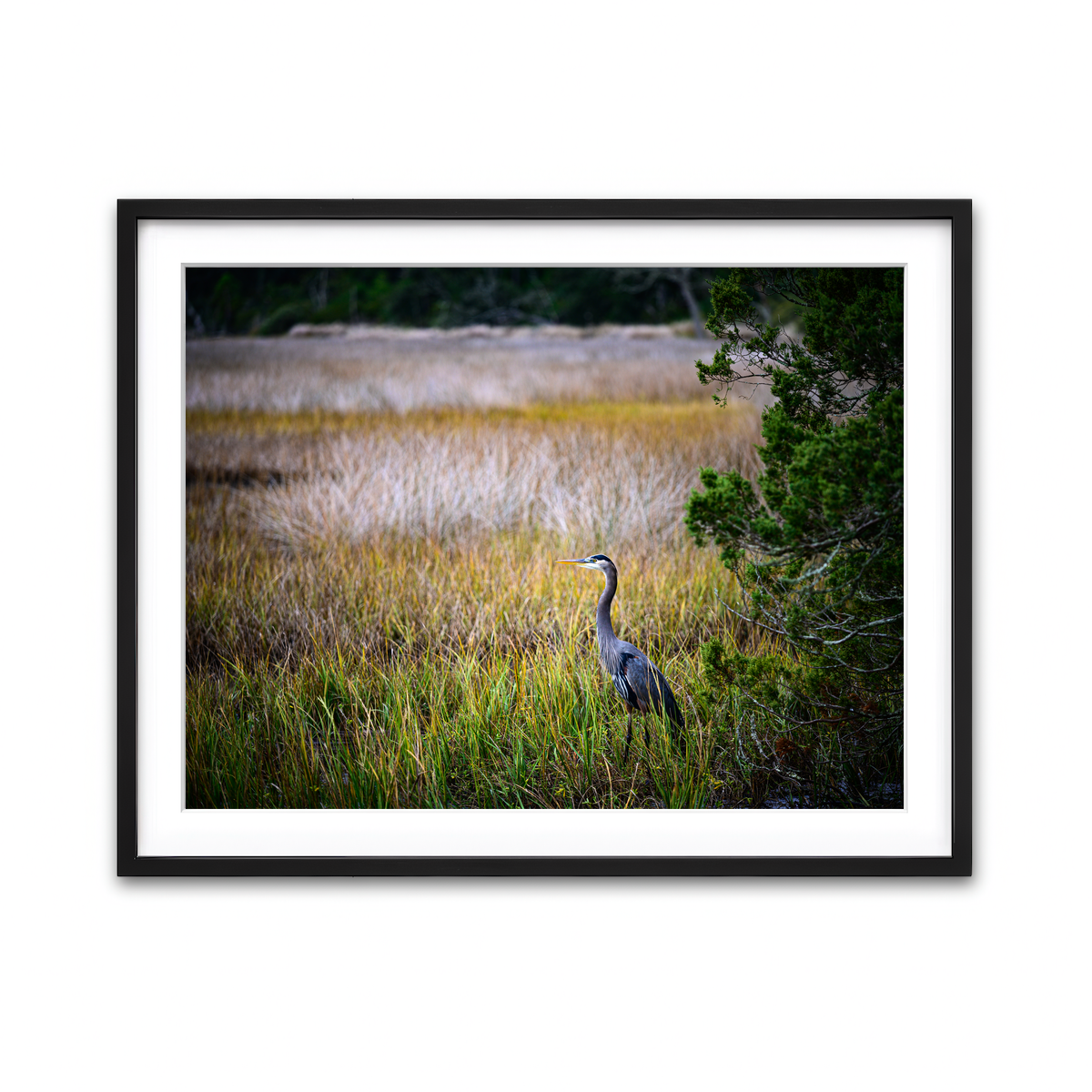Framed Print 4x3 Black