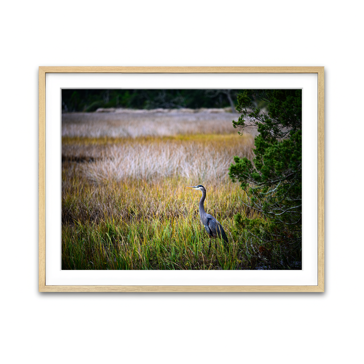 Framed Print 4x3 Natural