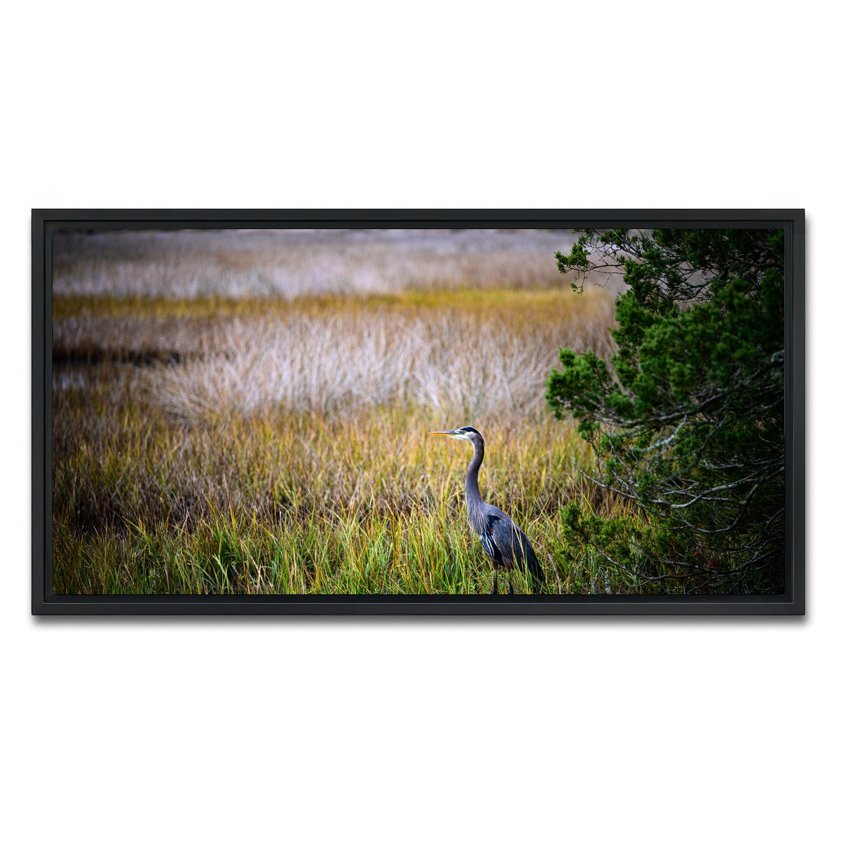 AUTO-MOCKUP WHITE | Heron Jekyll Island | 1 Piece | Black Framed Canvas | group=2x1