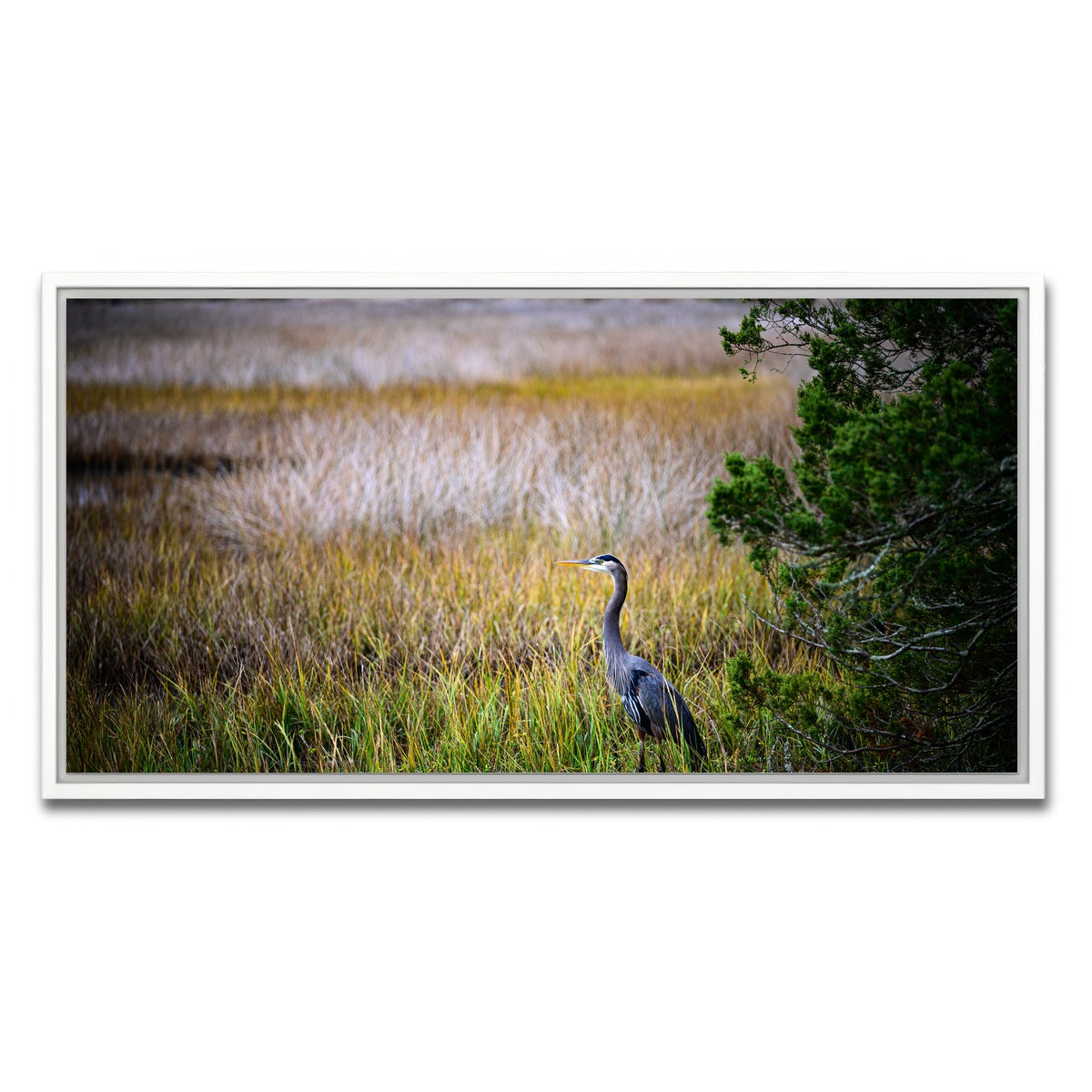 AUTO-MOCKUP WHITE | Heron Jekyll Island | 1 Piece | White Framed Canvas | group=2x1