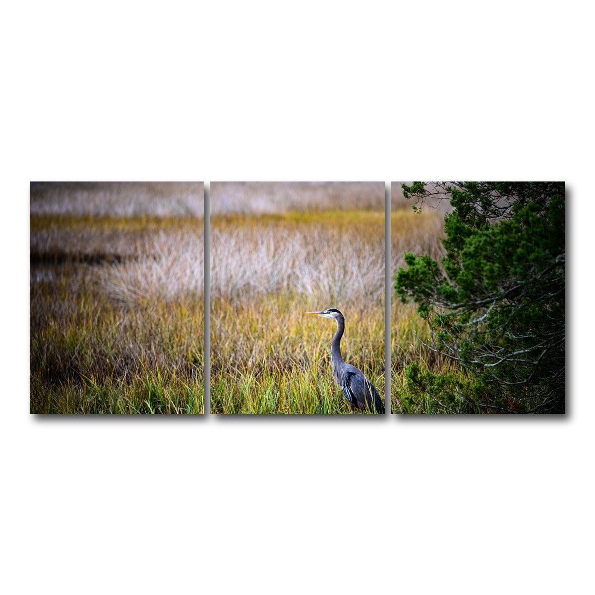 AUTO-MOCKUP WHITE | Heron Jekyll Island | 3 Piece | Gallery Wrap Canvas | group=18x24