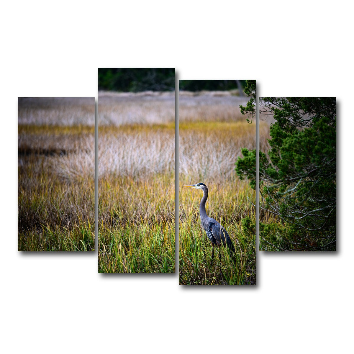 AUTO-MOCKUP WHITE | Heron Jekyll Island | 4 Piece | Gallery Wrap Canvas | group=4_short