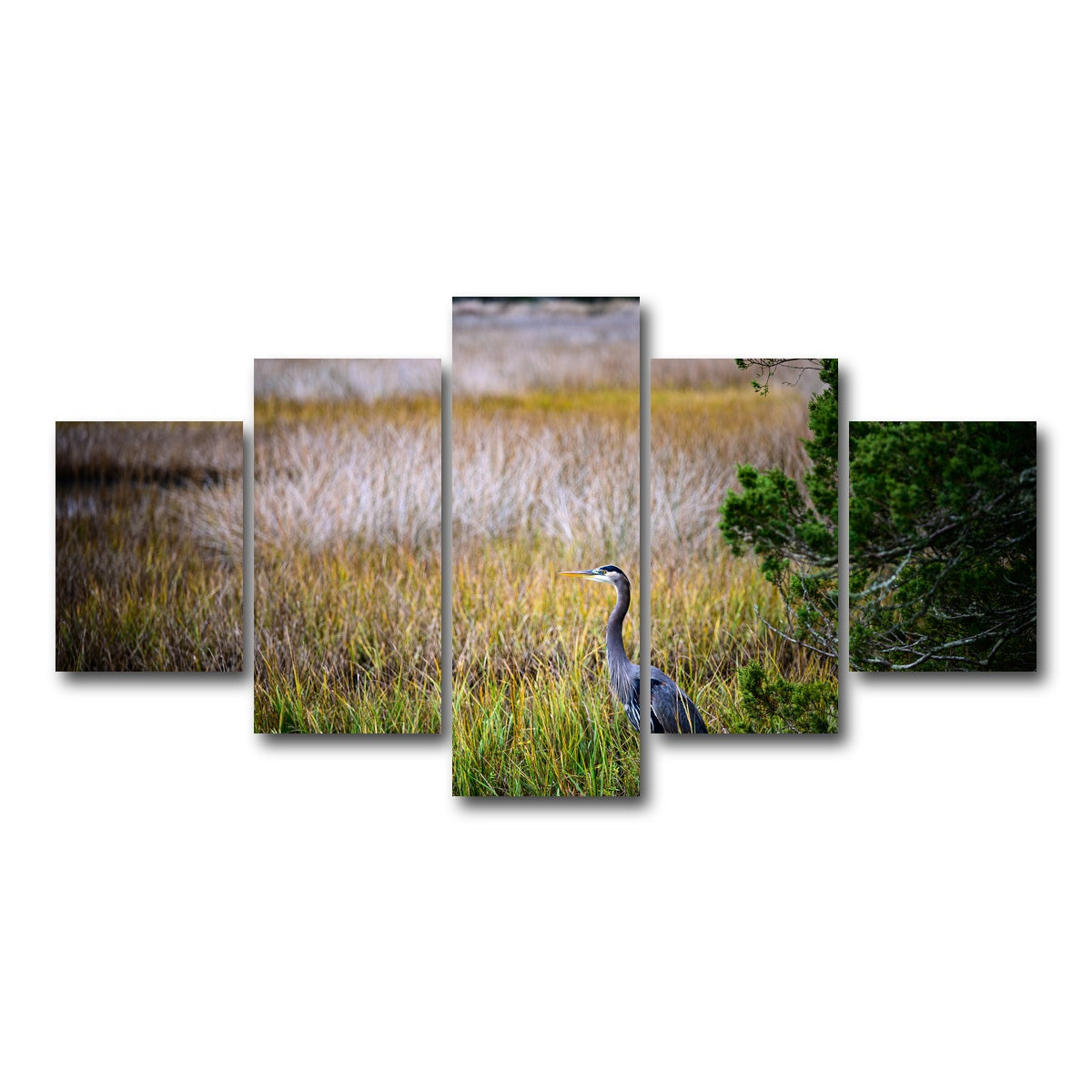 AUTO-MOCKUP WHITE | Heron Jekyll Island | 5 Piece | Gallery Wrap Canvas | group=5_short
