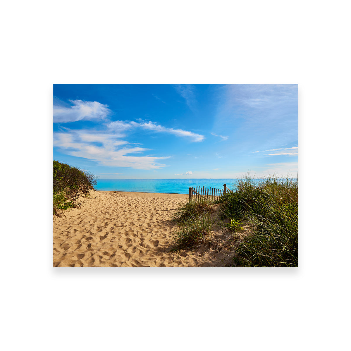 Herring Cove Beach Wall Art