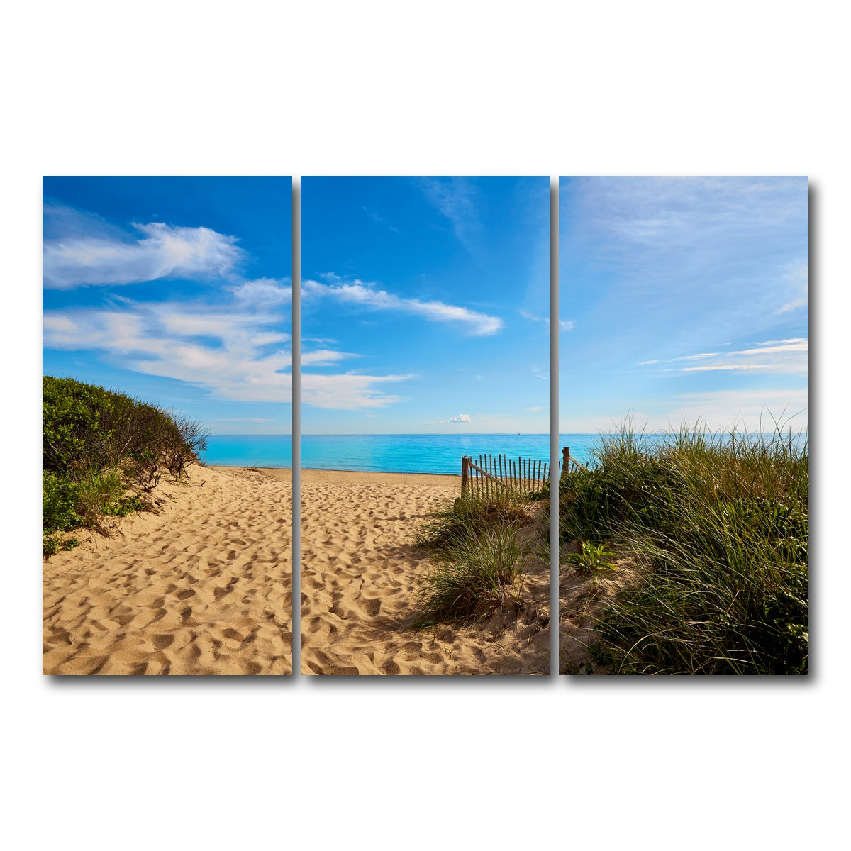 AUTO-MOCKUP WHITE | Herring Cove Beach | 3 Piece | Gallery Wrap Canvas | group=12x24