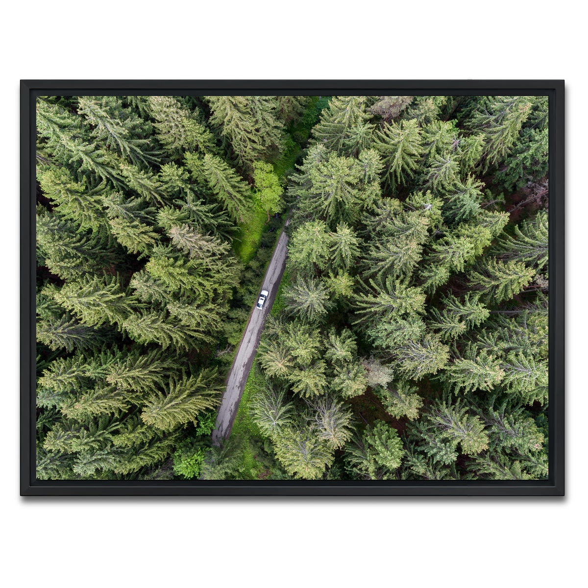 AUTO-MOCKUP WHITE | Hidden Road | 1 Piece | Black Framed Canvas | group=4x3