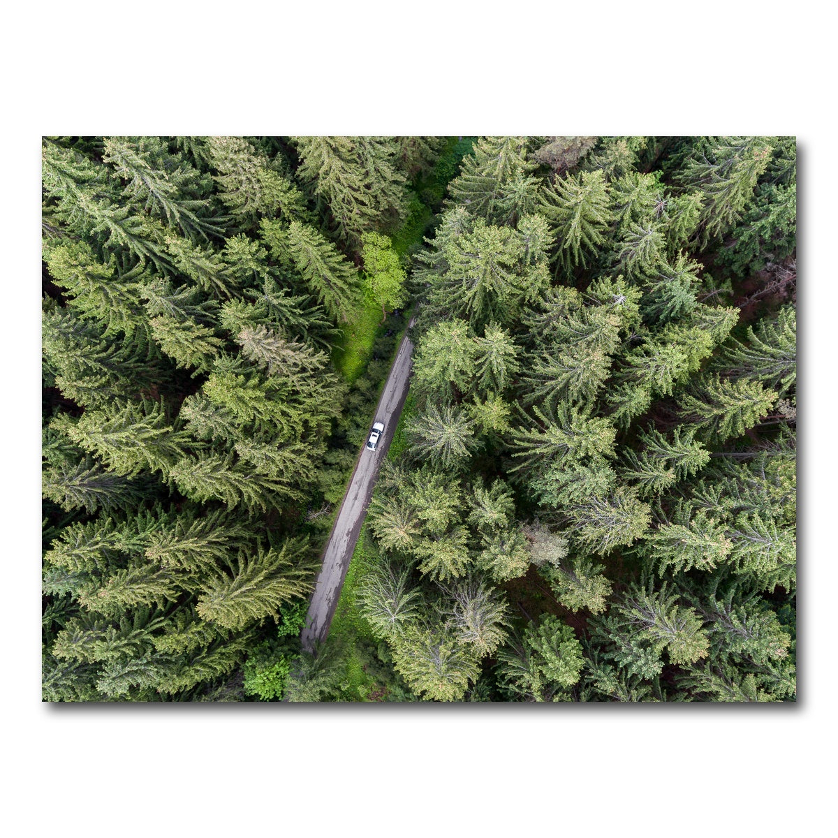 AUTO-MOCKUP WHITE | Hidden Road | 1 Piece | Gallery Wrap Canvas | group=4x3