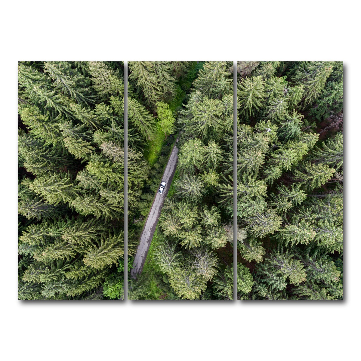 AUTO-MOCKUP WHITE | Hidden Road | 3 Piece | Gallery Wrap Canvas | group=8x18