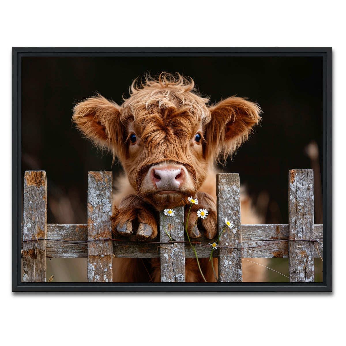 AUTO-MOCKUP WHITE | Highland Baby Calf | 1 Piece | Black Framed Canvas | group=4x3