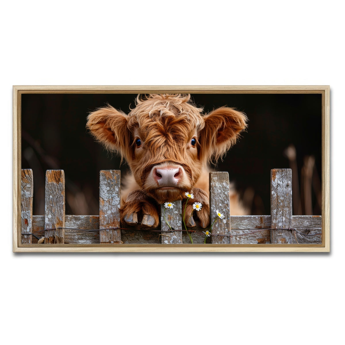AUTO-MOCKUP WHITE | Highland Baby Calf | 1 Piece | Natural Framed Canvas | group=2x1
