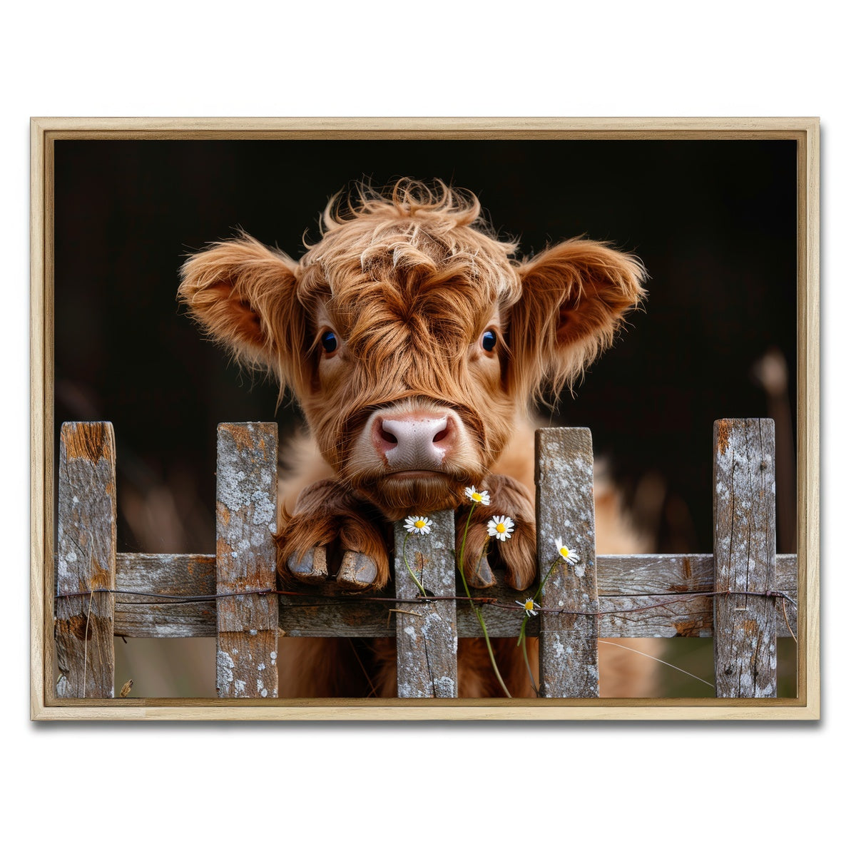 AUTO-MOCKUP WHITE | Highland Baby Calf | 1 Piece | Natural Framed Canvas | group=4x3