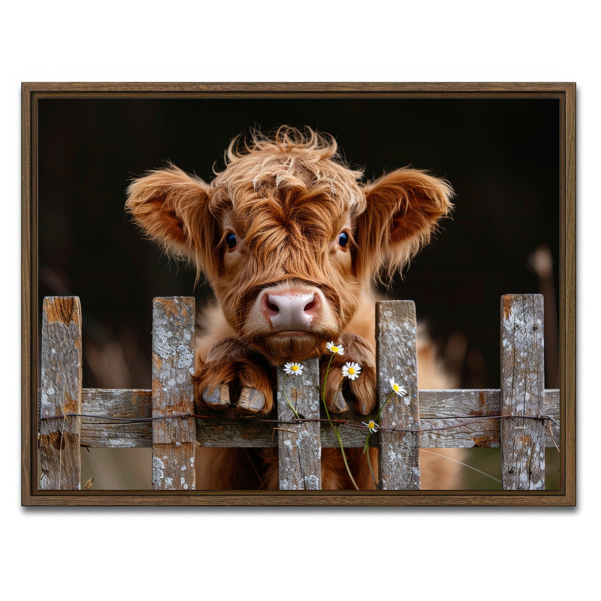 AUTO-MOCKUP WHITE | Highland Baby Calf | 1 Piece | Walnut Framed Canvas | group=4x3