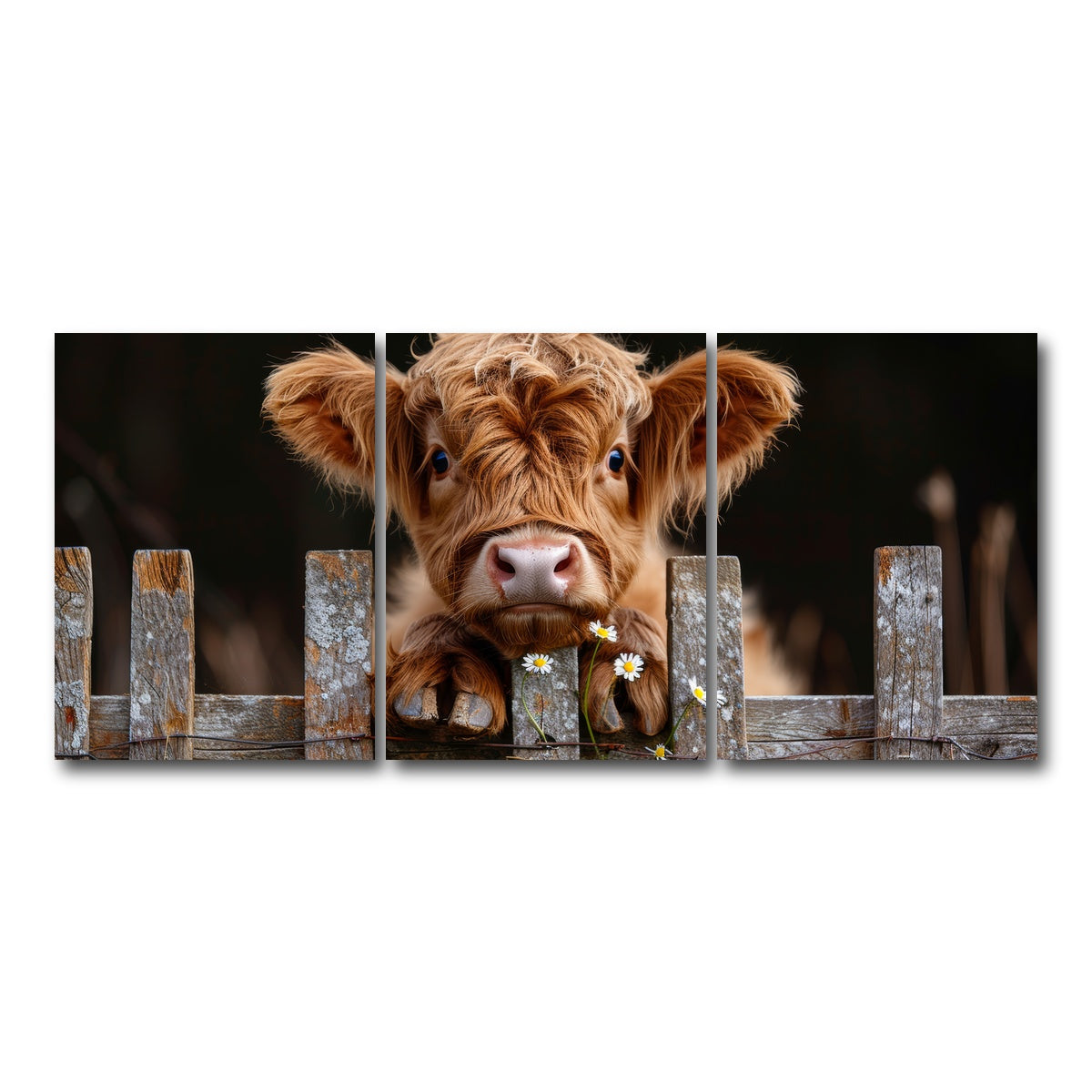 AUTO-MOCKUP WHITE | Highland Baby Calf | 3 Piece | Gallery Wrap Canvas | group=18x24