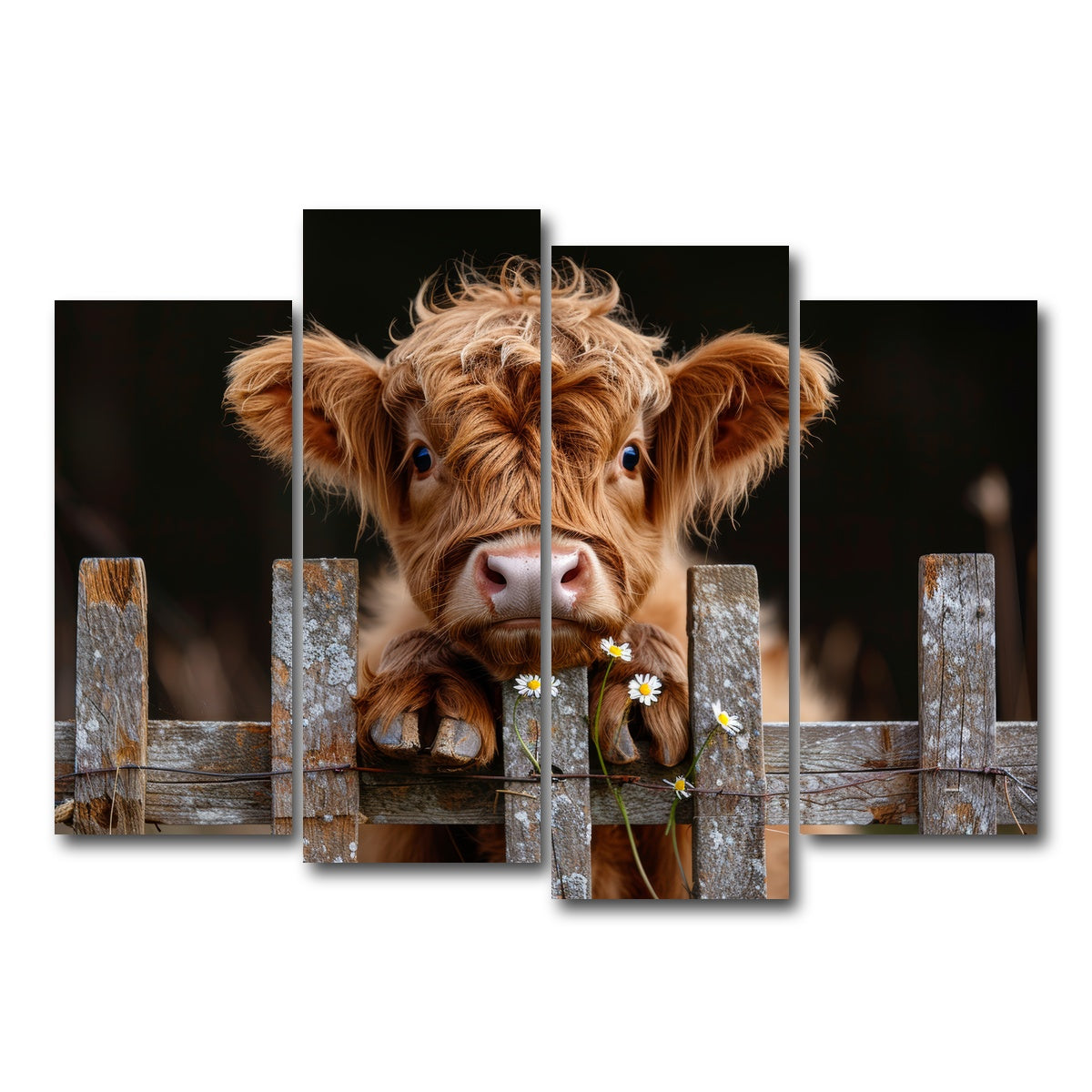 AUTO-MOCKUP WHITE | Highland Baby Calf | 4 Piece | Gallery Wrap Canvas | group=4_normal