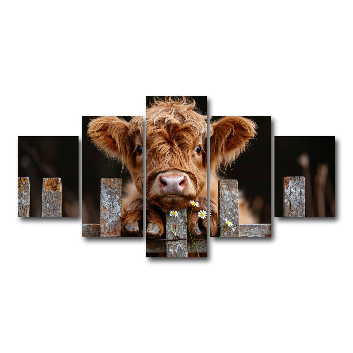 AUTO-MOCKUP WHITE | Highland Baby Calf | 5 Piece | Gallery Wrap Canvas | group=5_short