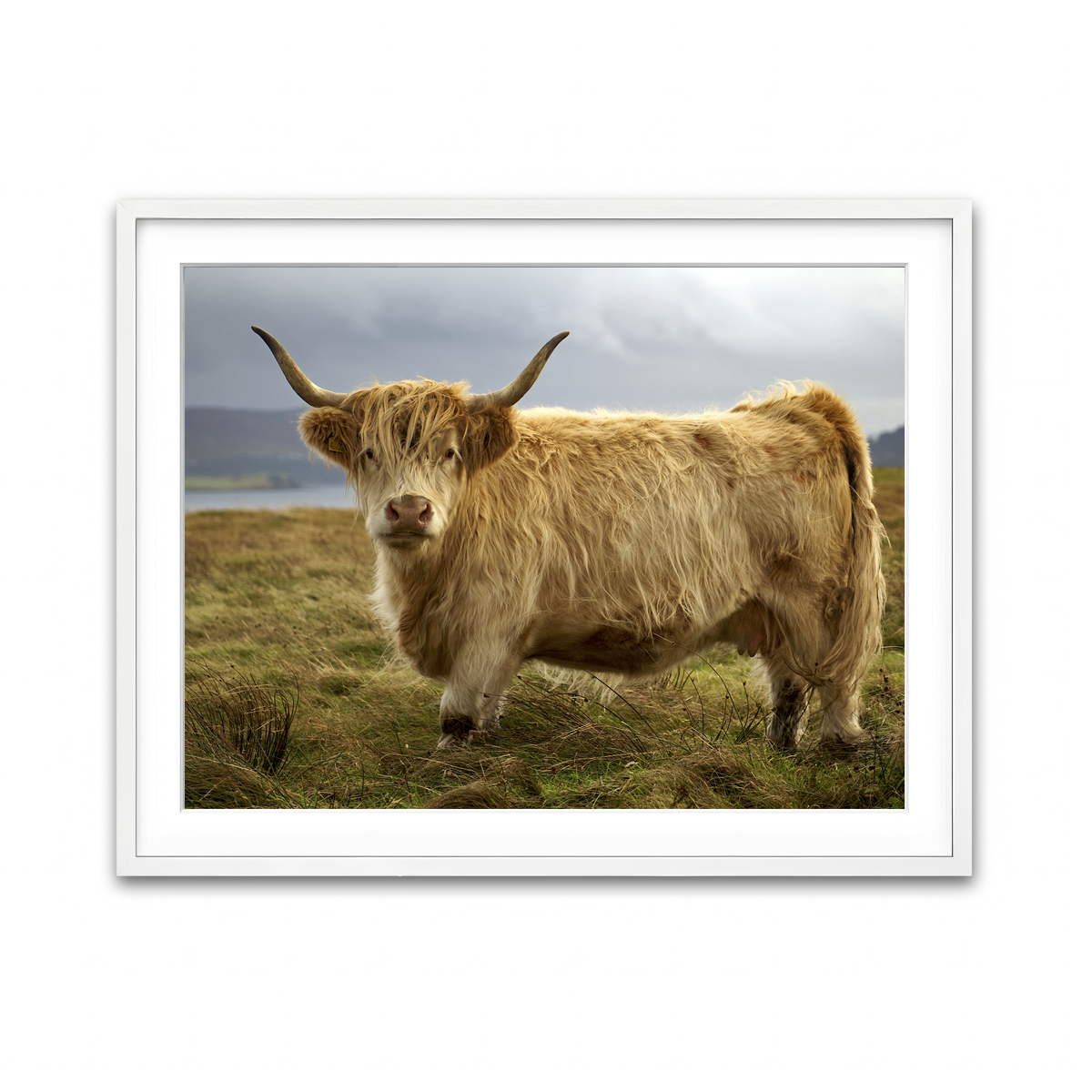 Framed Print 4x3 White