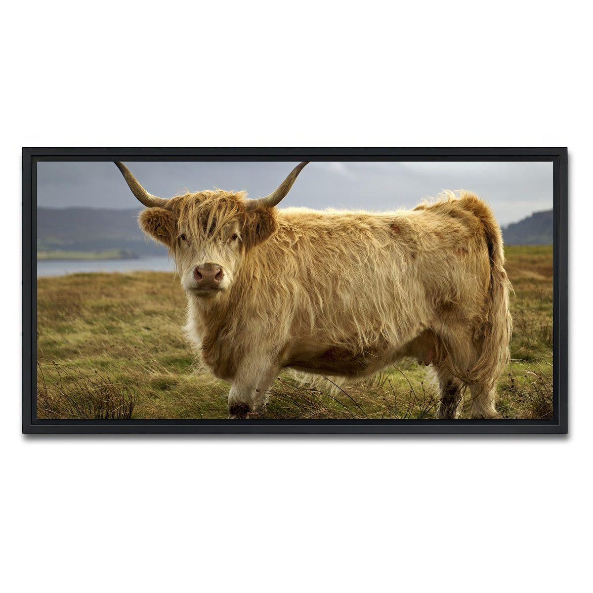 AUTO-MOCKUP WHITE | Highland Cow - Countryside | 1 Piece | Black Framed Canvas | group=2x1