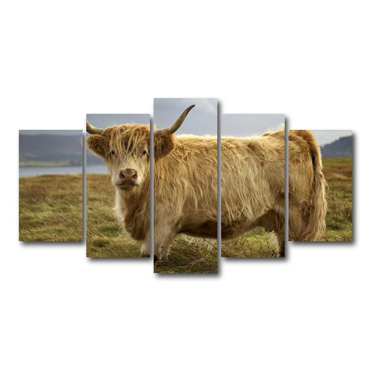 AUTO-MOCKUP WHITE | Highland Cow - Countryside | 5 Piece | Gallery Wrap Canvas | group=5_normal