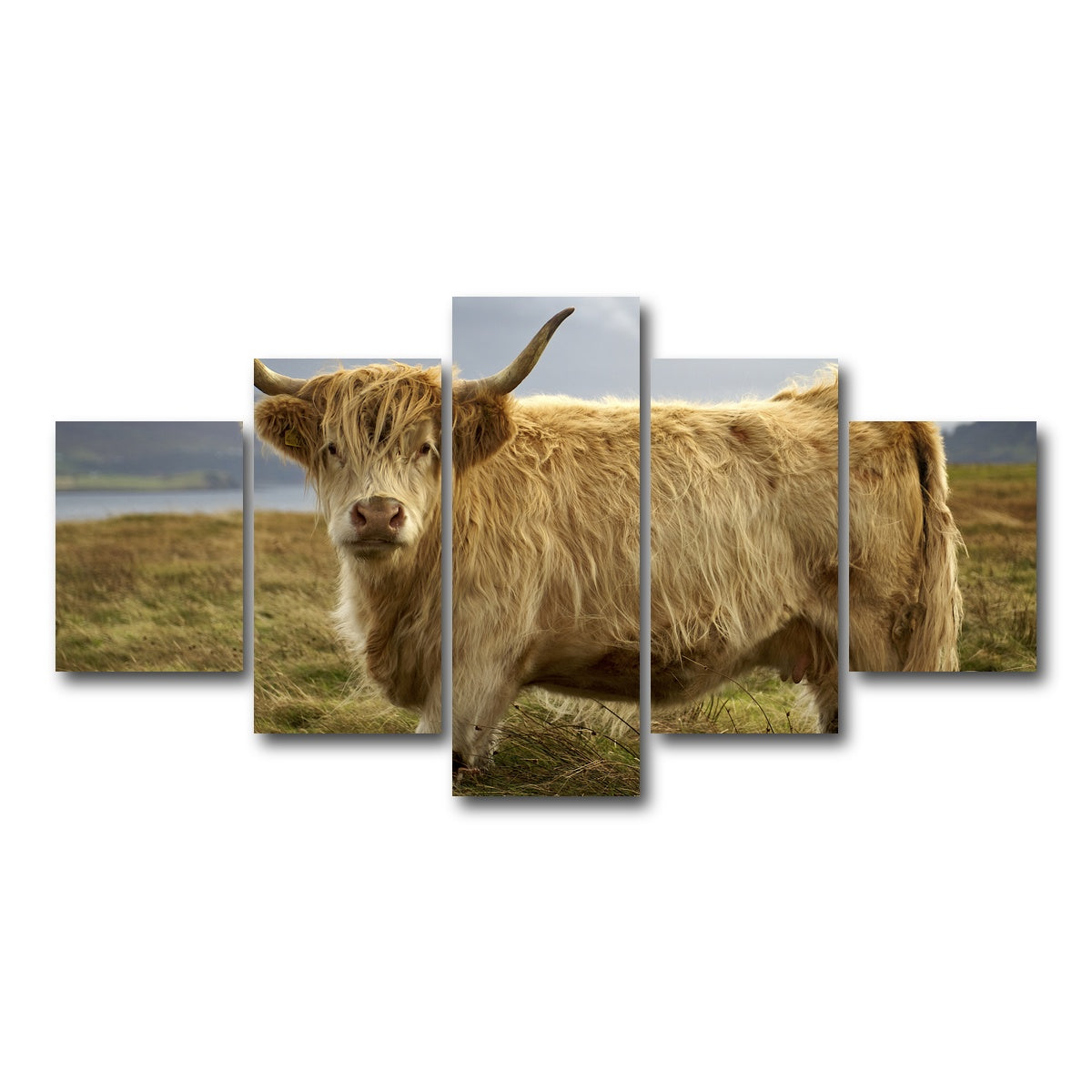 AUTO-MOCKUP WHITE | Highland Cow - Countryside | 5 Piece | Gallery Wrap Canvas | group=5_short