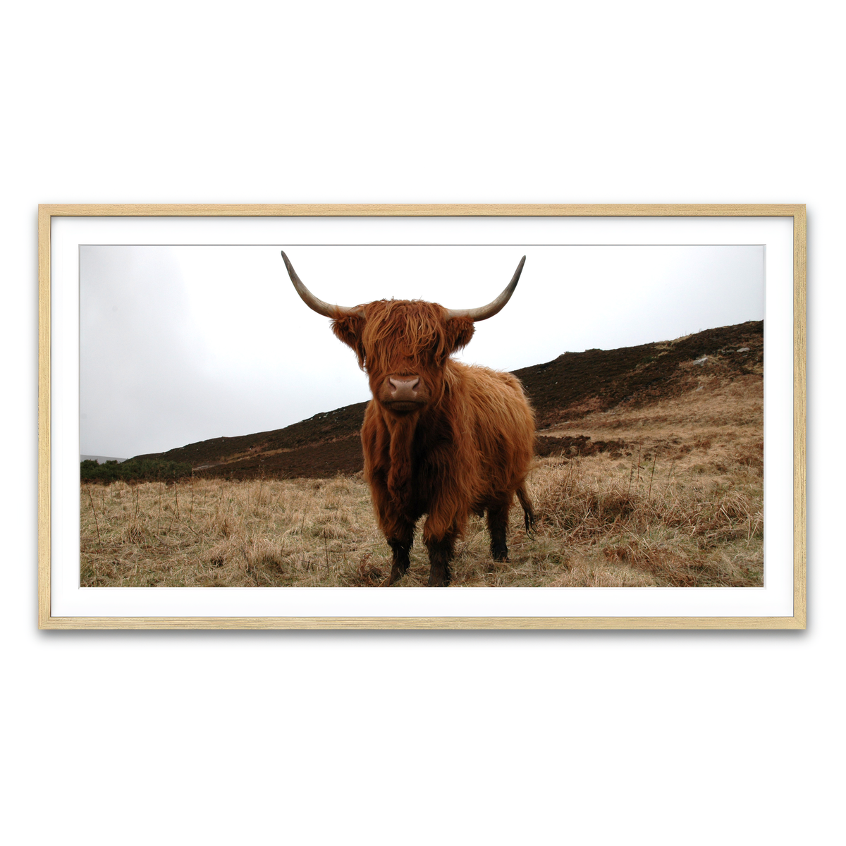 Framed Print 2x1 Natural