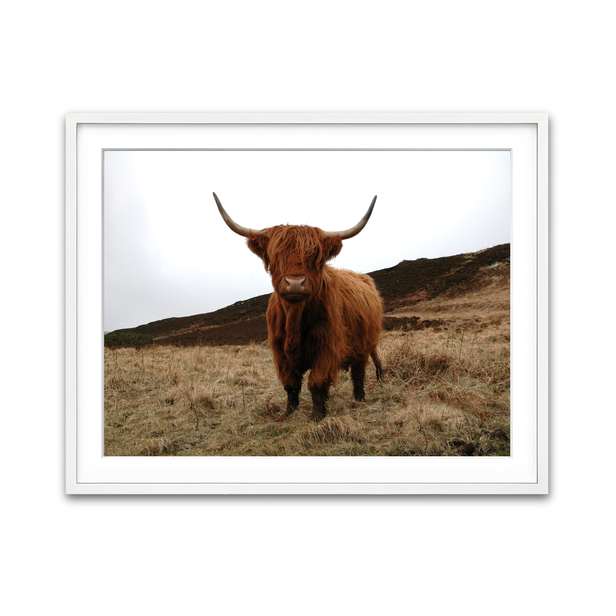 Framed Print 4x3 White