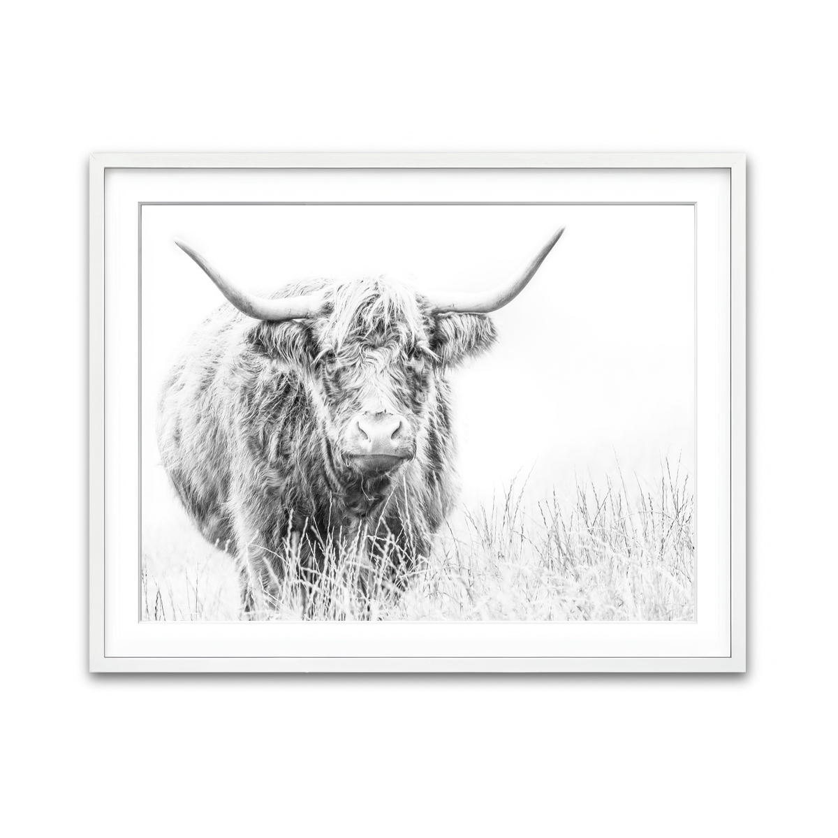 Framed Print 4x3 White