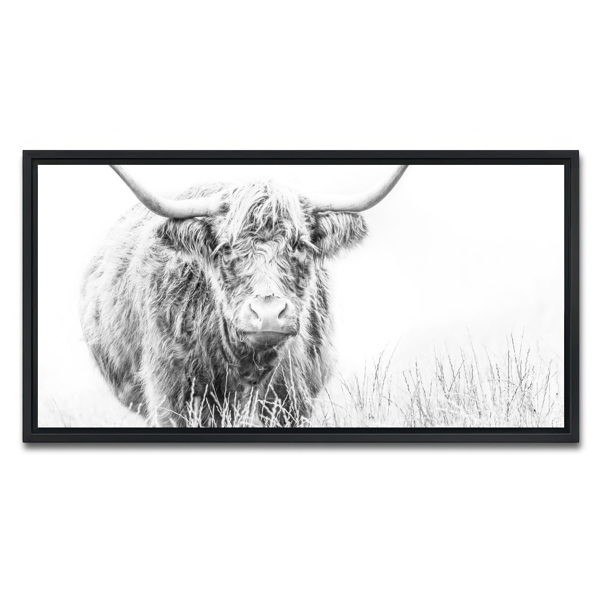 AUTO-MOCKUP WHITE | Highland Cow on white | 1 Piece | Black Framed Canvas | group=2x1