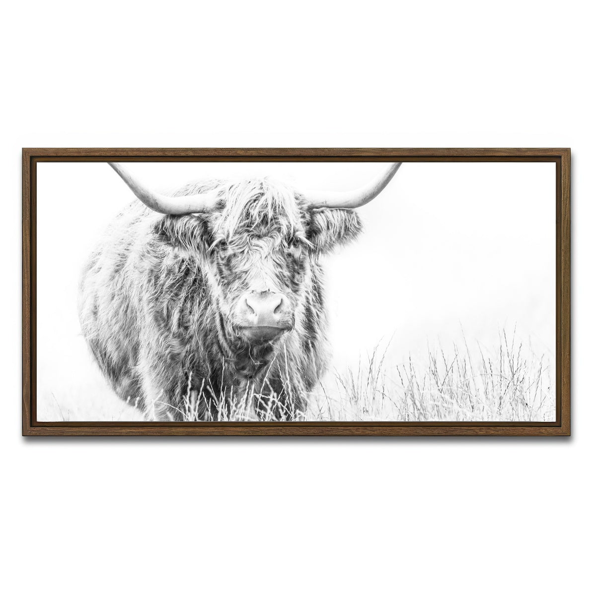 AUTO-MOCKUP WHITE | Highland Cow on white | 1 Piece | Walnut Framed Canvas | group=2x1