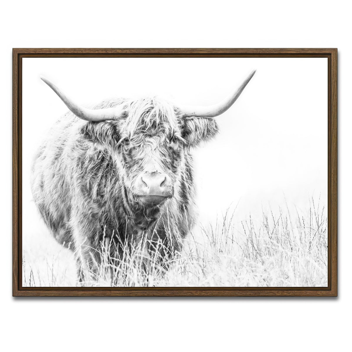AUTO-MOCKUP WHITE | Highland Cow on white | 1 Piece | Walnut Framed Canvas | group=4x3