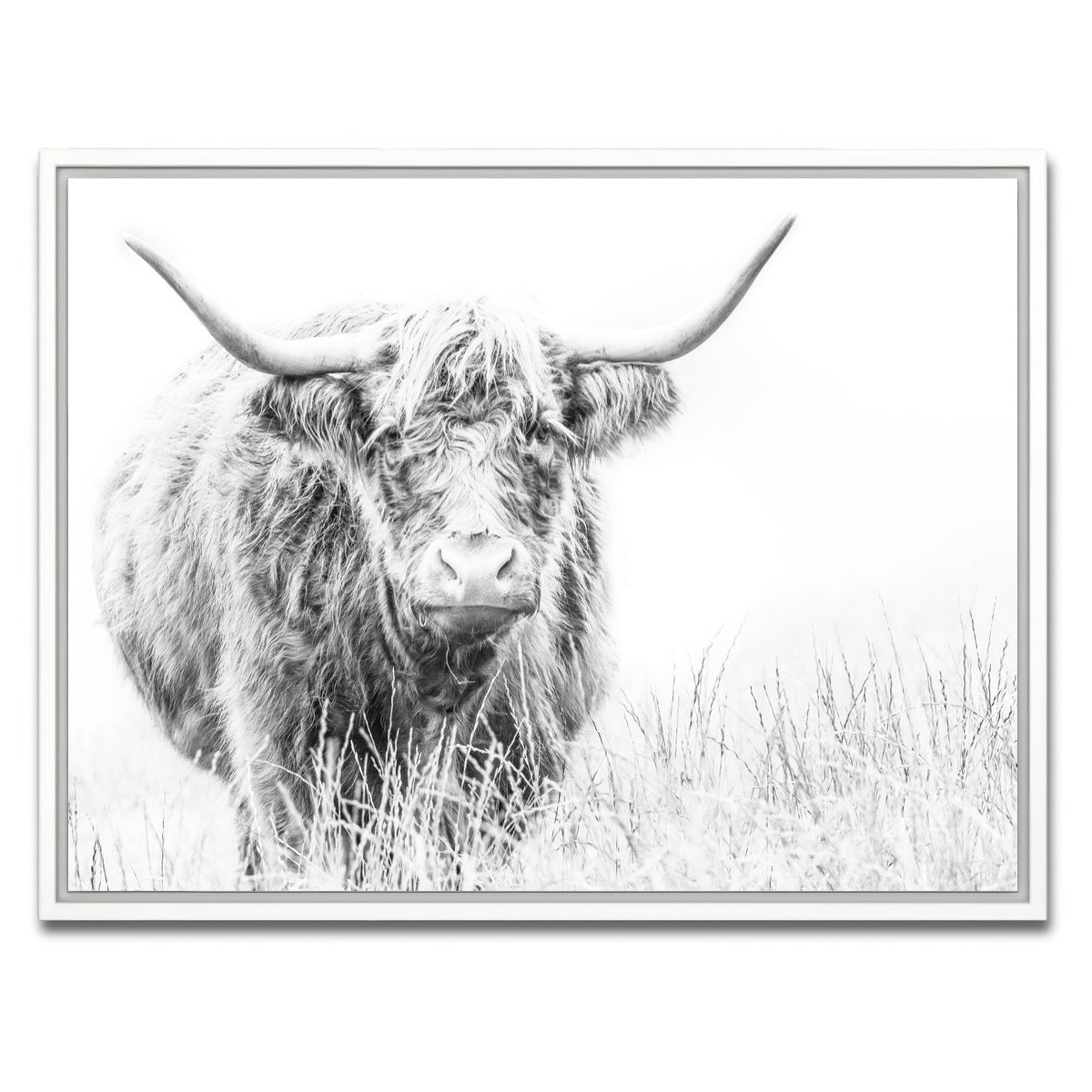 AUTO-MOCKUP WHITE | Highland Cow on white | 1 Piece | White Framed Canvas | group=4x3