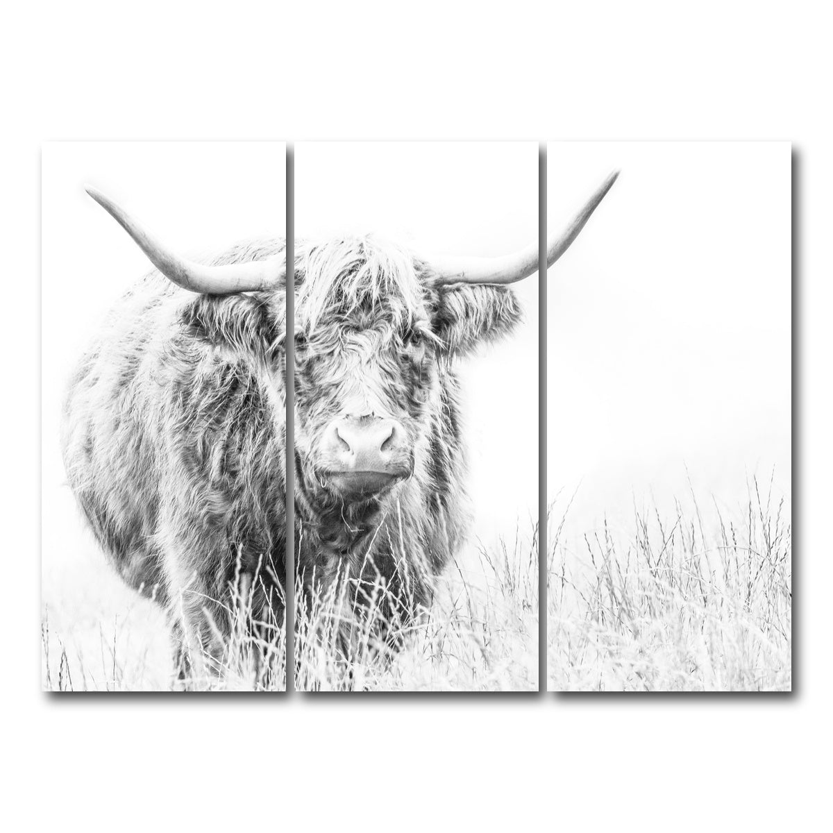 AUTO-MOCKUP WHITE | Highland Cow on white | 3 Piece | Gallery Wrap Canvas | group=8x18