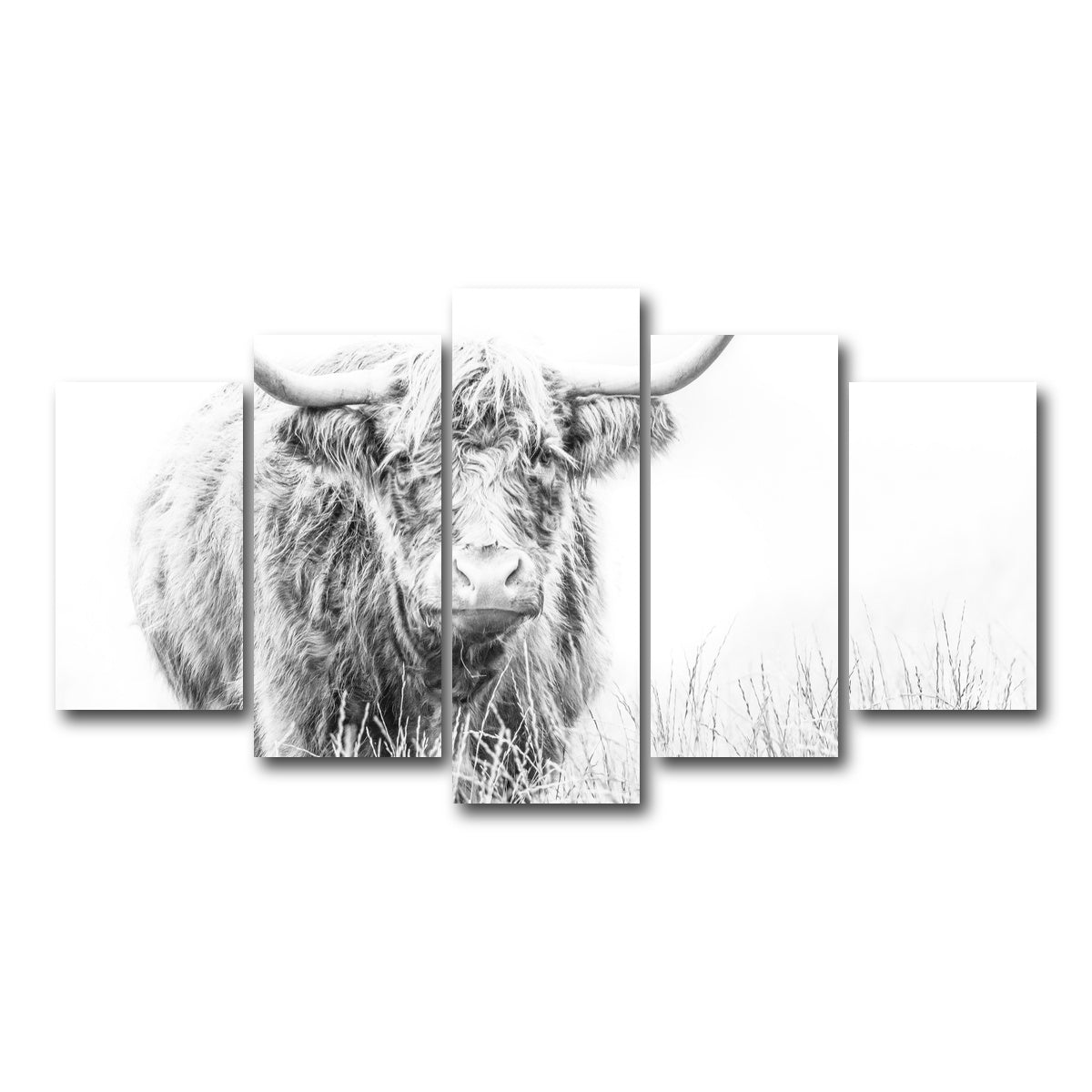 AUTO-MOCKUP WHITE | Highland Cow on white | 5 Piece | Gallery Wrap Canvas | group=5_normal