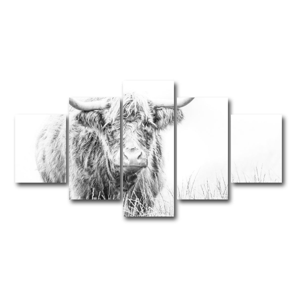 AUTO-MOCKUP WHITE | Highland Cow on white | 5 Piece | Gallery Wrap Canvas | group=5_short
